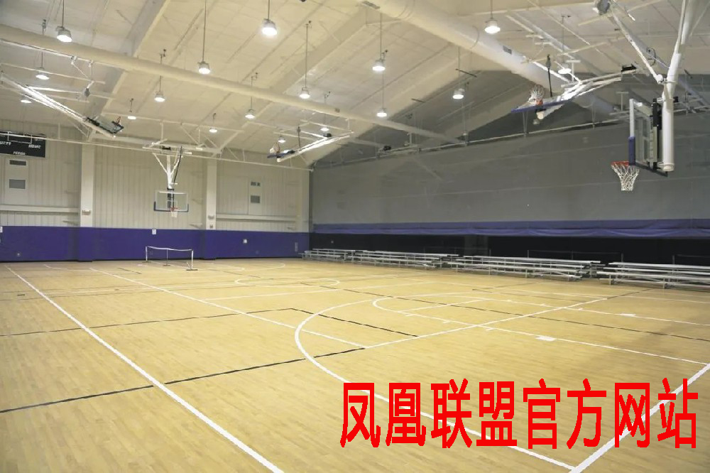 凤凰联盟官方网站
